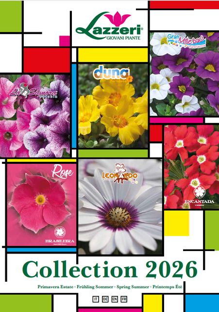 catalogo 2026